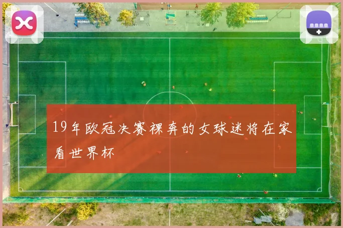 19年欧冠决赛裸奔的女球迷将在家看世界杯