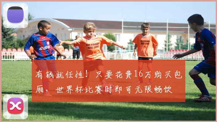 有钱就任性！只要花费16万购买包厢，世界杯比赛时即可无限畅饮