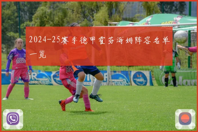 2024-25赛季德甲霍芬海姆阵容名单一览