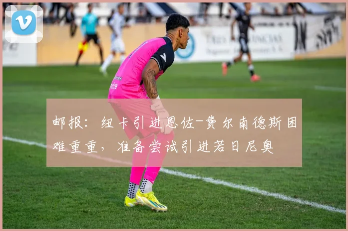 邮报：纽卡引进恩佐-费尔南德斯困难重重，准备尝试引进若日尼奥
